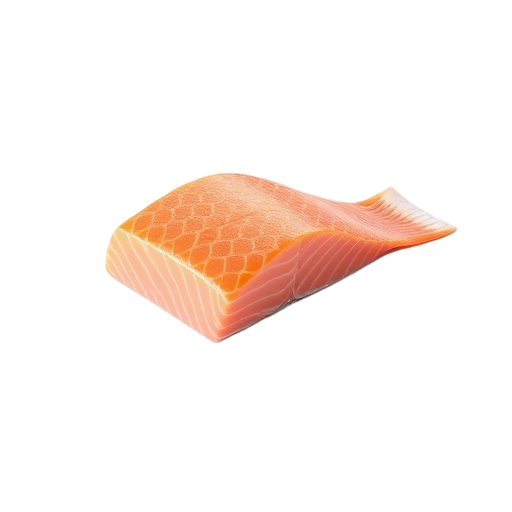 Salmon Fillet