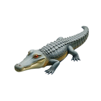 Saltwater Crocodile
