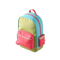 School Backpack