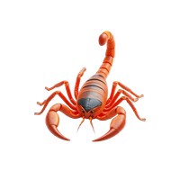 Scorpion