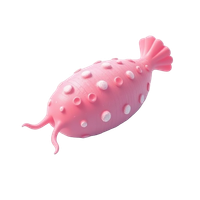 Sea Cucumber