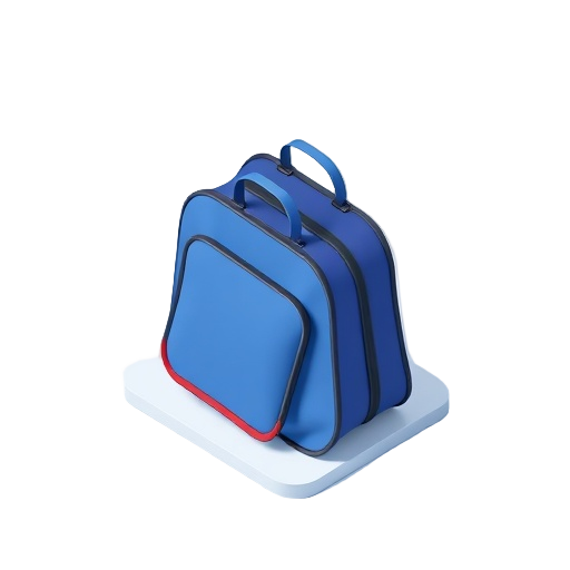 Shoe Bag