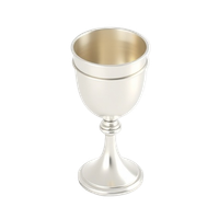 Silver Goblet