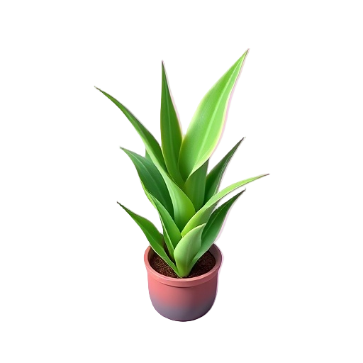 Snake Plant
