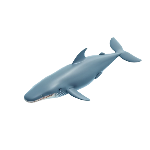 Sperm Whale