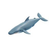 Sperm Whale