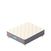 Spring Mattress