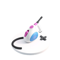 Steam Cleaner