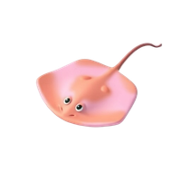 Stingray