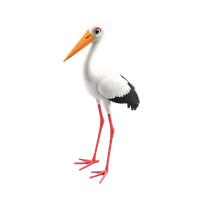 Stork