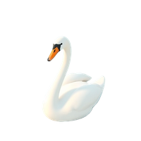 Swan