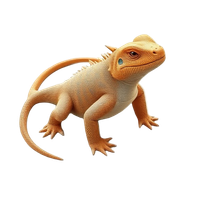 Tuatara