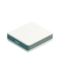Twin Mattress