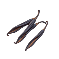 vanilla bean pods