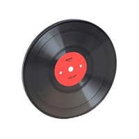 Vinyl Record (collectible)