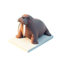 Walrus