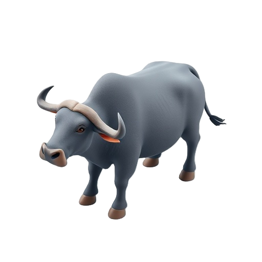 Water Buffalo