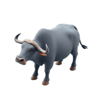 Water Buffalo