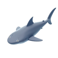 Whale Shark