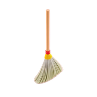 Whisk Broom
