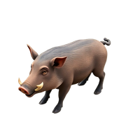 Wild Boar