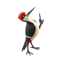 Woodpecker